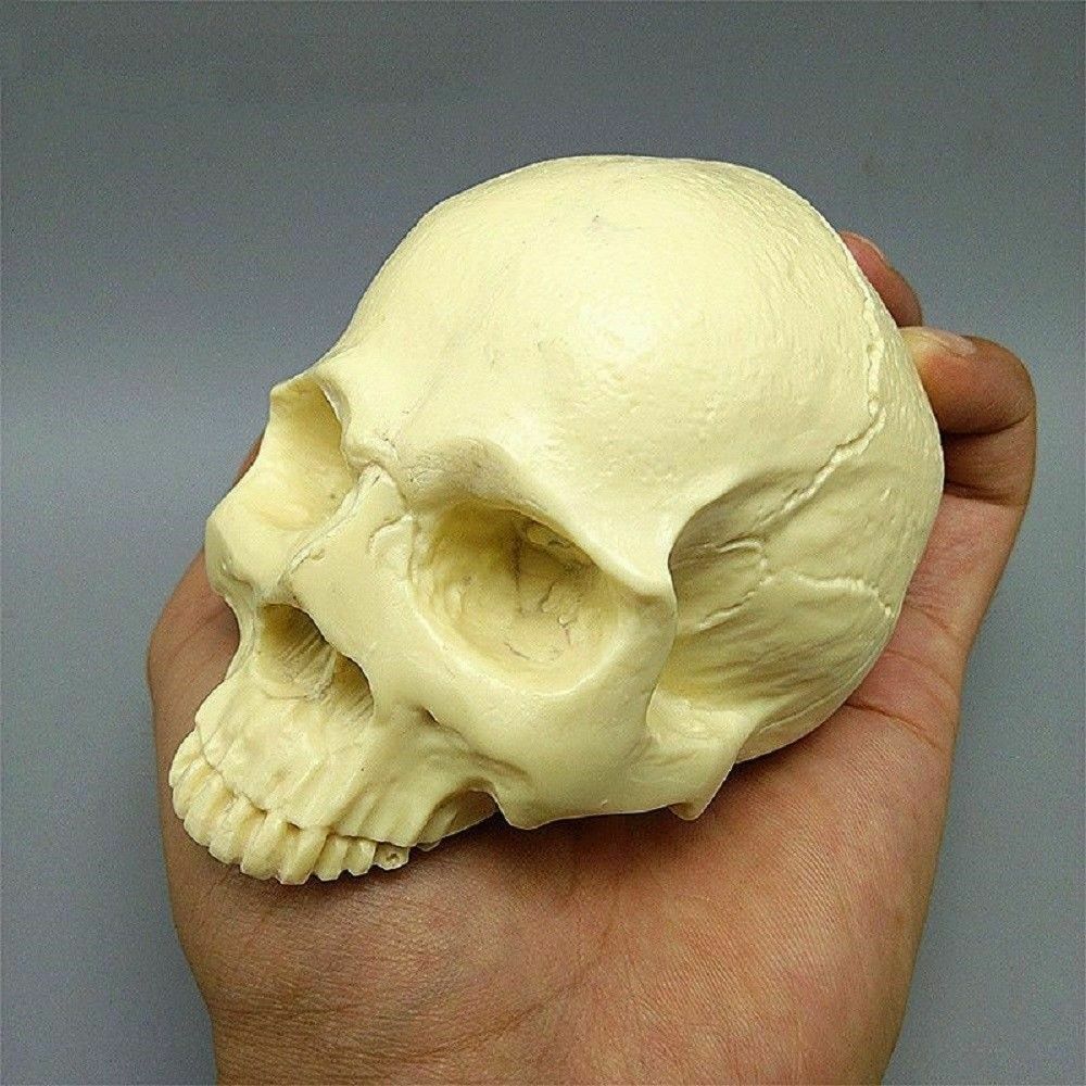 HC - Realistic Skull Soap